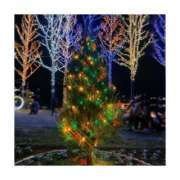 ヒメ日記 2025/12/24 22:24 投稿 ゆり ぷるるん小町 京橋店