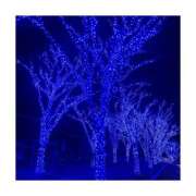 ヒメ日記 2026/01/13 22:06 投稿 ゆり ぷるるん小町 京橋店