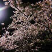 ヒメ日記 2026/04/06 18:50 投稿 ゆり ぷるるん小町 京橋店