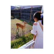 ヒメ日記 2026/07/15 11:39 投稿 ゆり ぷるるん小町 京橋店