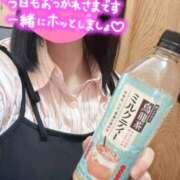 ヒメ日記 2025/11/12 11:42 投稿 木咲(きさき) 相模原人妻城