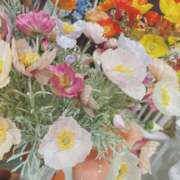 あや 出勤します 🐶🌟 千葉人妻セレブリティ（ユメオト）