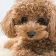 ヒメ日記 2025/09/29 19:52 投稿 あかり 梅田アバンチュール