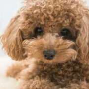 あかり ━お詫び🙇‍♀️━ 梅田アバンチュール