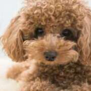 あかり おはようございます🍒 梅田アバンチュール