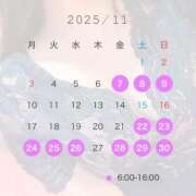 ヒメ日記 2025/10/24 13:34 投稿 ひとみ チューリップ土浦店