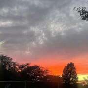 ヒメ日記 2025/11/03 13:38 投稿 ひとみ チューリップ土浦店