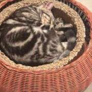 ヒメ日記 2025/10/15 07:49 投稿 なみ ぐっすり山田　大阪店