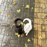 ヒメ日記 2025/10/22 12:19 投稿 なみ ぐっすり山田　大阪店