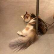 ヒメ日記 2025/10/23 15:59 投稿 なみ ぐっすり山田　大阪店