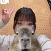 ヒメ日記 2026/05/11 19:04 投稿 にこ 人妻倶楽部 内緒の関係 大宮店