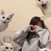 ヒメ日記 2026/03/28 13:12 投稿 にこ 人妻倶楽部内緒の関係 春日部店