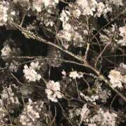 ヒメ日記 2025/09/02 06:48 投稿 かれん 福岡ちゃんこ大牟田店