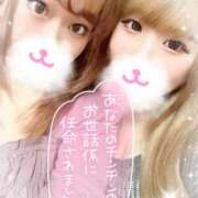 ヒメ日記 2025/09/11 15:54 投稿 ひより ちゃんこ本厚木店