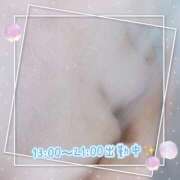 ヒメ日記 2025/11/16 13:05 投稿 さやか 宮崎ちゃんこ都城店