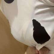 ヒメ日記 2026/03/02 14:14 投稿 長谷川 まや こあくまな熟女たち三河店（KOAKUMAグループ）