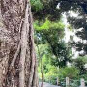 ヒメ日記 2025/10/27 20:16 投稿 理穂（リホ） アバンチュール(五反田)