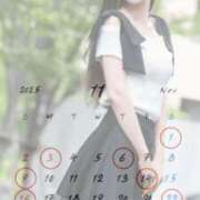 ヒメ日記 2025/11/12 19:46 投稿 理穂（リホ） アバンチュール(五反田)