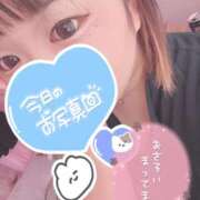 るある しゅっ！ 宮崎ちゃんこ中央通店