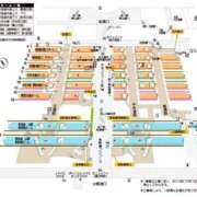 ヒメ日記 2025/09/03 16:10 投稿 わこ 即トク奥さん