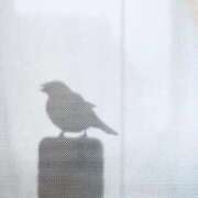 ヒメ日記 2025/09/29 07:50 投稿 わこ 即トク奥さん