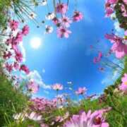 ヒメ日記 2025/10/19 07:20 投稿 わこ 即トク奥さん