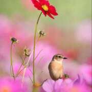 ヒメ日記 2025/10/23 06:40 投稿 わこ 即トク奥さん