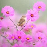 ヒメ日記 2025/11/01 07:50 投稿 わこ 即トク奥さん