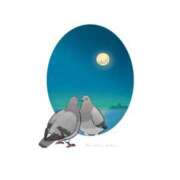 ヒメ日記 2025/11/02 17:50 投稿 わこ 即トク奥さん