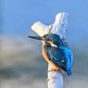 ヒメ日記 2025/11/03 06:10 投稿 わこ 即トク奥さん