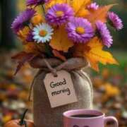 ヒメ日記 2025/11/06 08:30 投稿 わこ 即トク奥さん