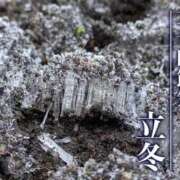 ヒメ日記 2025/11/07 06:40 投稿 わこ 即トク奥さん