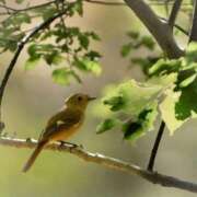 ヒメ日記 2025/11/07 19:40 投稿 わこ 即トク奥さん