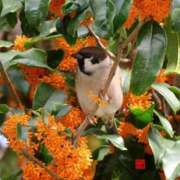 ヒメ日記 2025/11/08 16:26 投稿 わこ 即トク奥さん