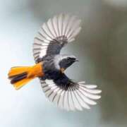 ヒメ日記 2025/11/10 14:03 投稿 わこ 即トク奥さん