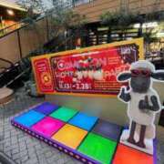 ヒメ日記 2025/11/11 17:50 投稿 わこ 即トク奥さん