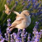 ヒメ日記 2025/11/13 15:50 投稿 わこ 即トク奥さん