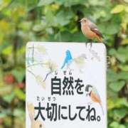 ヒメ日記 2025/11/14 07:50 投稿 わこ 即トク奥さん