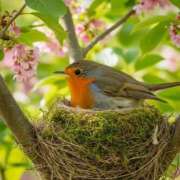 ヒメ日記 2025/11/16 05:50 投稿 わこ 即トク奥さん