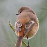 ヒメ日記 2025/11/18 13:23 投稿 わこ 即トク奥さん