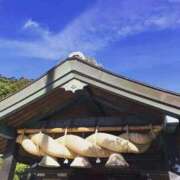 ヒメ日記 2025/11/27 06:10 投稿 わこ 即トク奥さん