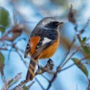 ヒメ日記 2025/11/28 07:20 投稿 わこ 即トク奥さん