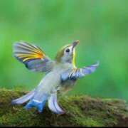 ヒメ日記 2025/12/02 04:30 投稿 わこ 即トク奥さん