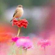 ヒメ日記 2025/12/02 16:13 投稿 わこ 即トク奥さん