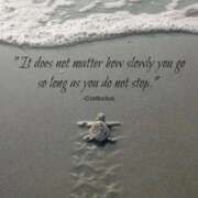 ヒメ日記 2025/12/04 07:20 投稿 わこ 即トク奥さん