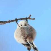 わこ おはようございます... 即トク奥さん