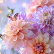 ヒメ日記 2025/12/11 06:10 投稿 わこ 即トク奥さん