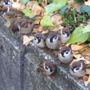 ヒメ日記 2025/12/12 07:10 投稿 わこ 即トク奥さん