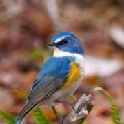 ヒメ日記 2025/12/14 07:40 投稿 わこ 即トク奥さん