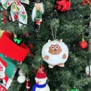 ヒメ日記 2025/12/23 04:50 投稿 わこ 即トク奥さん